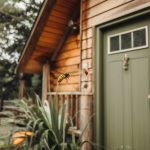 « Comment éloigner naturellement les guêpes et frelons de votre maison et jardin ? »